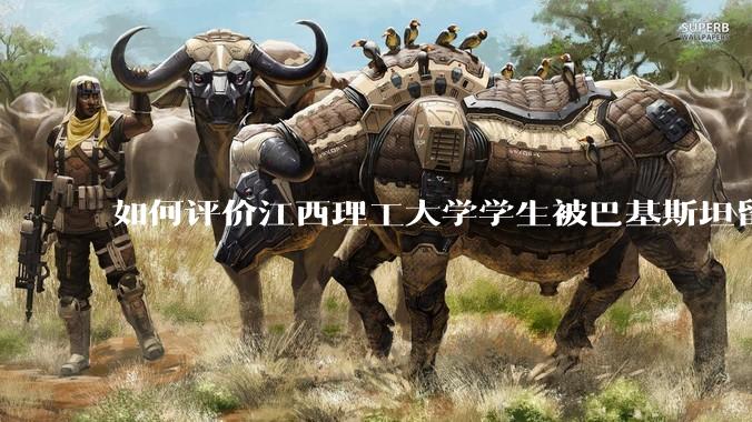 如何评价江西理工大学学生被巴基斯坦留学生群殴?