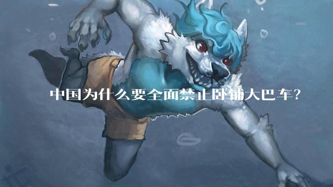 中国为什么要全面禁止卧铺大巴车？