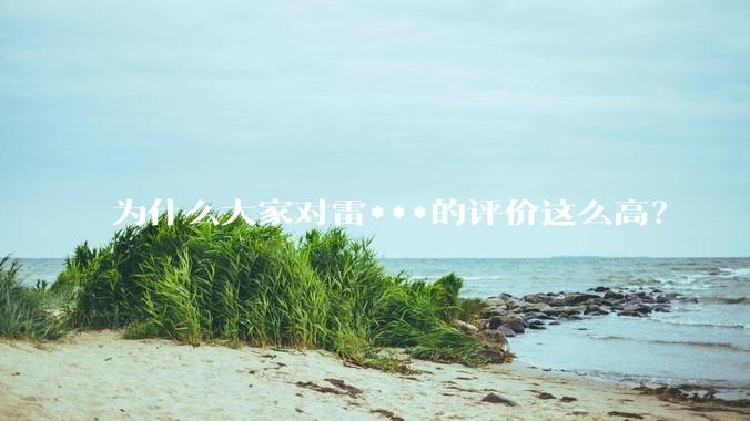 为什么大家对雷***的评价这么高？