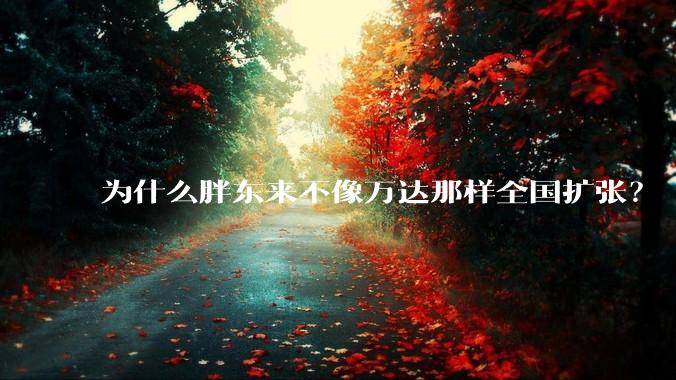 为什么胖东来不像万达那样全国扩张？