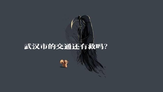 武汉市的交通还有救吗？